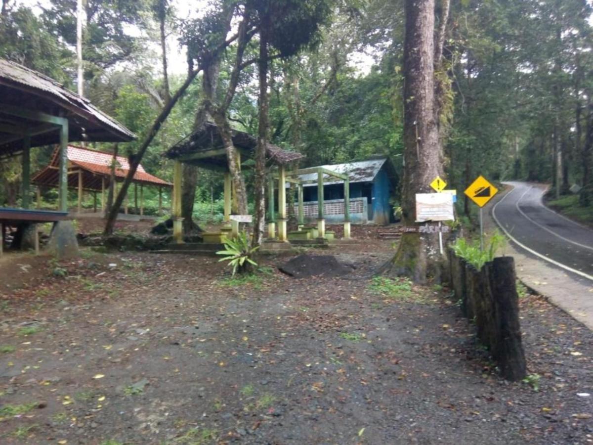 Ijen Mansjestic B&B Tamansuruh Exterior photo